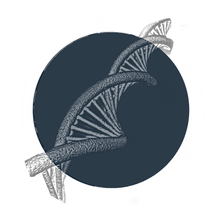 DNA helix